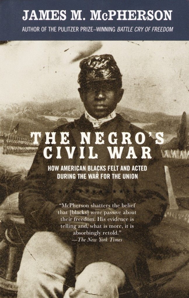 The Negros Civil War: How American Blacks Felt and Acted During the War for the Union     Paperback – October 15, 2003